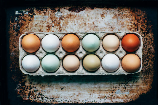 Supporting egg quality: why the final 90 days matter biologically