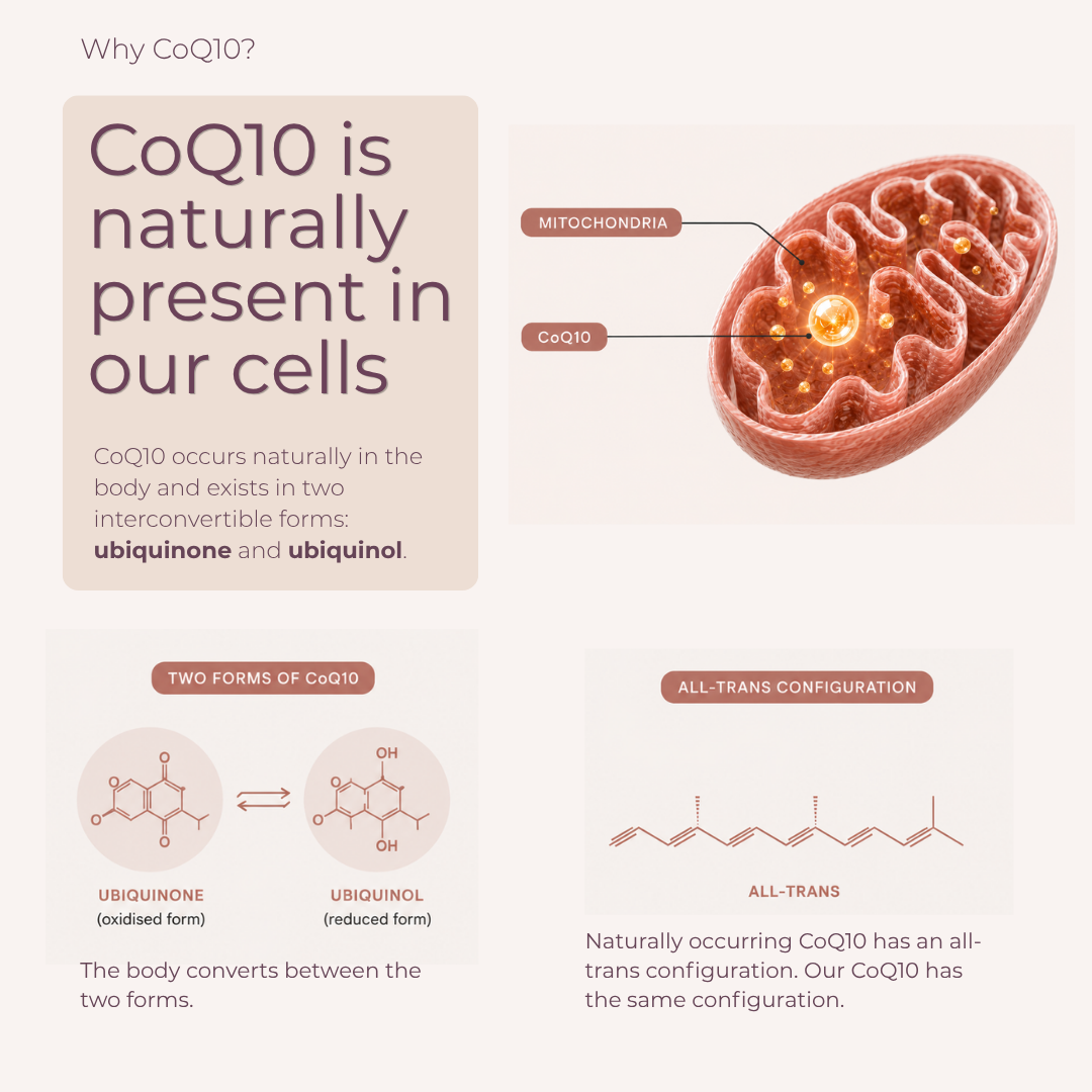 Coenzyme Q10 400mg