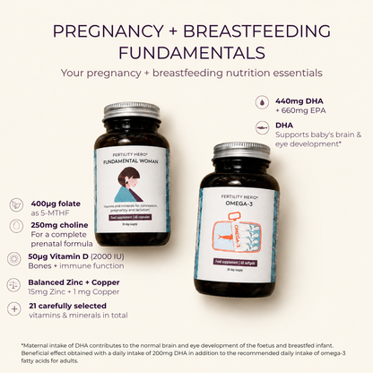 Pregnancy + Breastfeeding Fundamentals